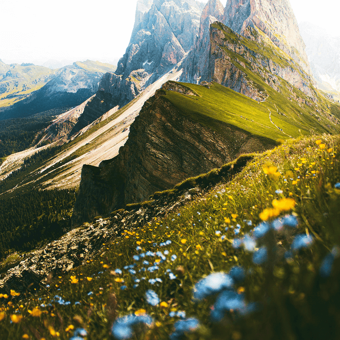Crête de montagne avec de la verdure et des pics enneigés, destinations de rêve de mister night